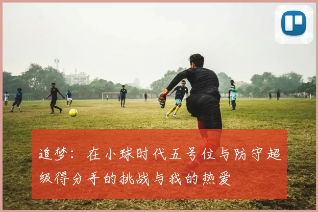 追梦：在小球时代五号位与防守超级得分手的挑战与我的热爱