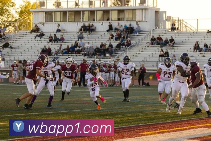 万博体育APP发展历程